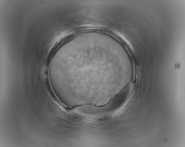 X0000094451357200711291650