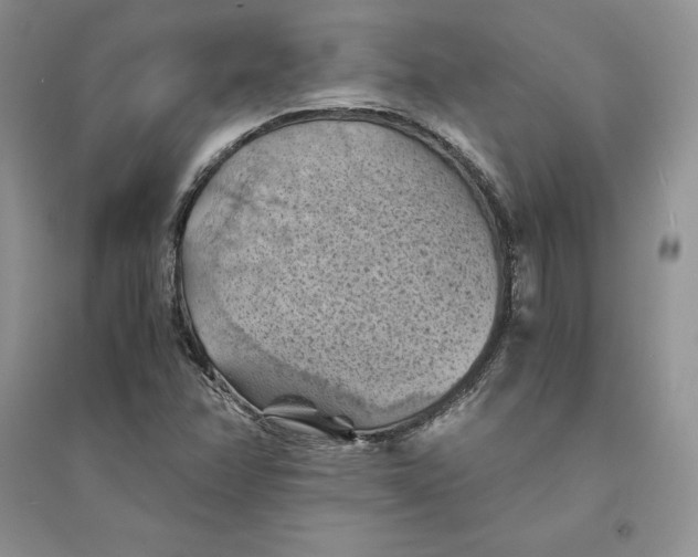 X0000094451358200711291650