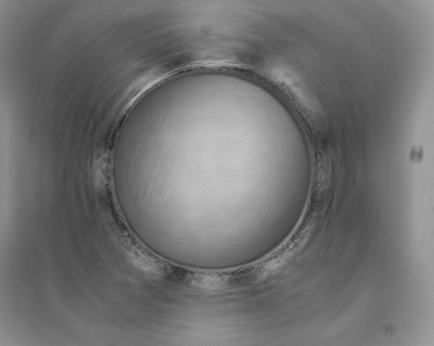 X0000094451361200711291650