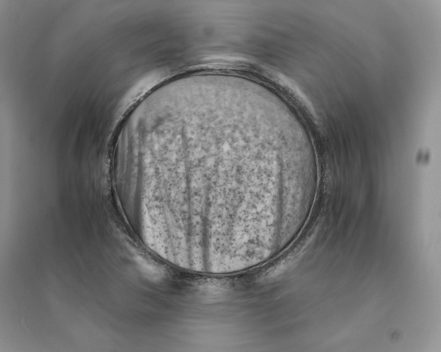 X0000094451362200711291649