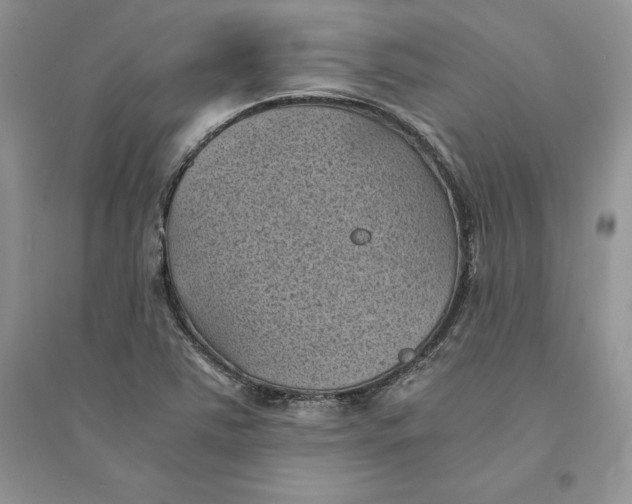 X0000094451363200711291649