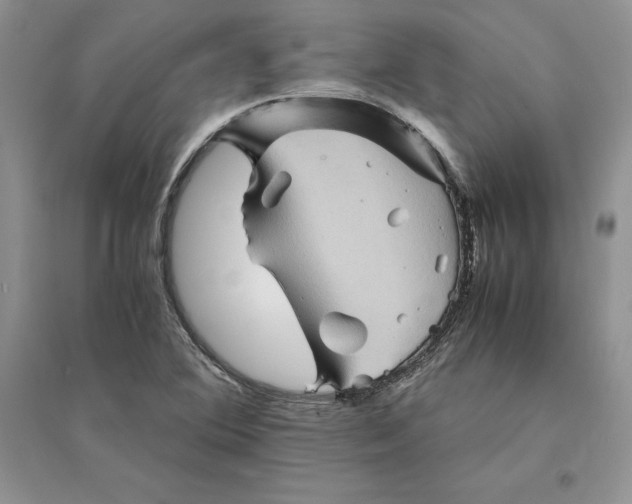 X0000094451364200711291649