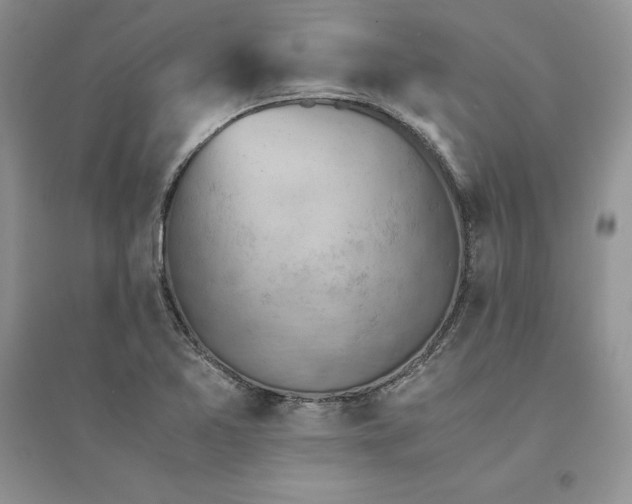 X0000094451365200711291649