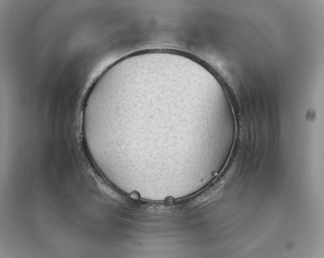 X0000094451366200711291649