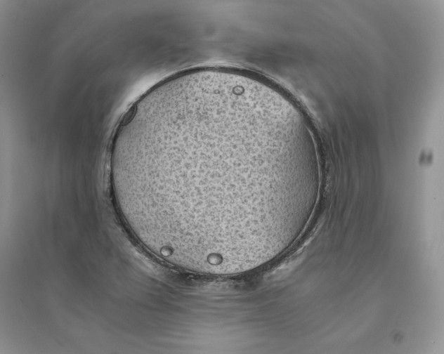 X0000094451367200711291649