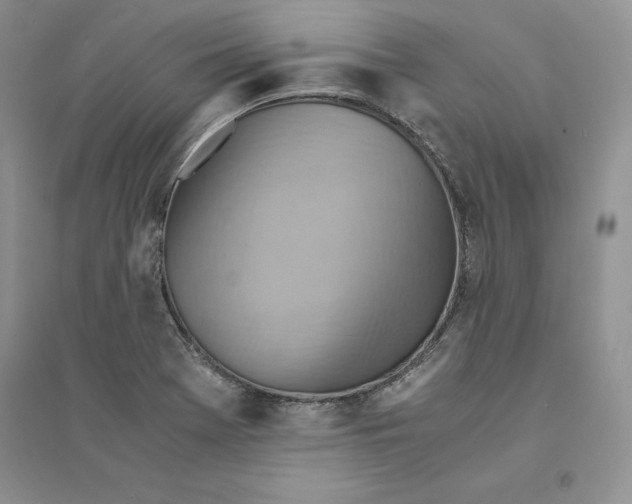 X0000094451369200711291649