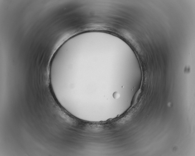 X0000094451370200711291649