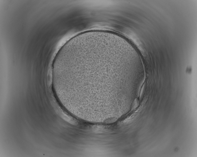 X0000094451371200711291649