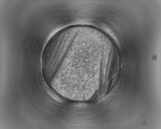 X0000094451372200711291649