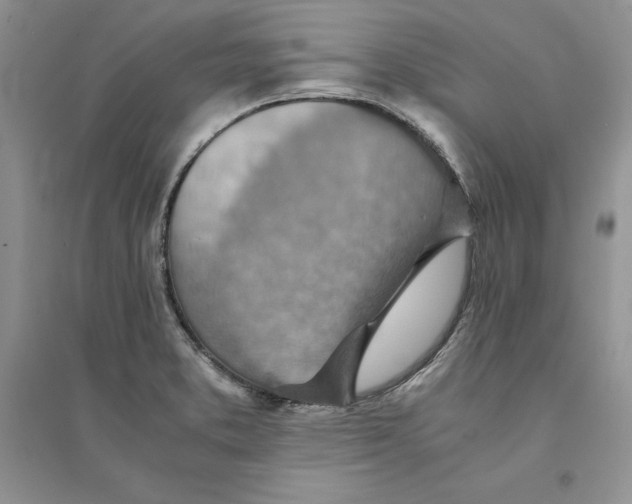 X0000094451373200711291649