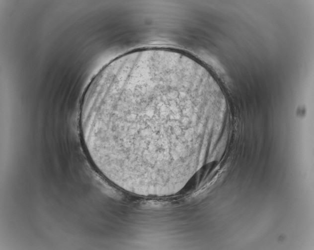 X0000094451374200711291649