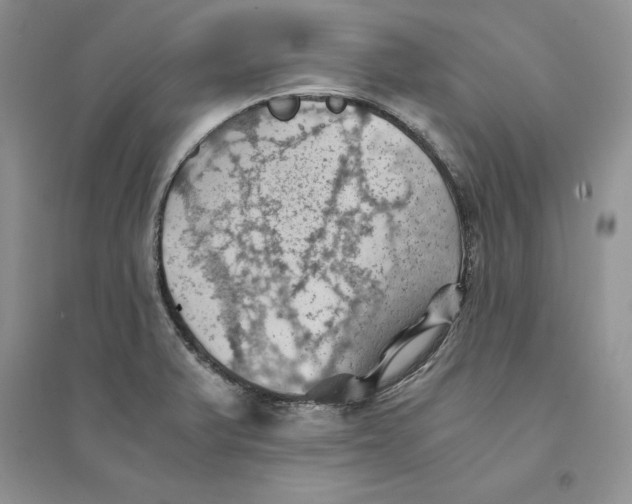 X0000094451375200711291649