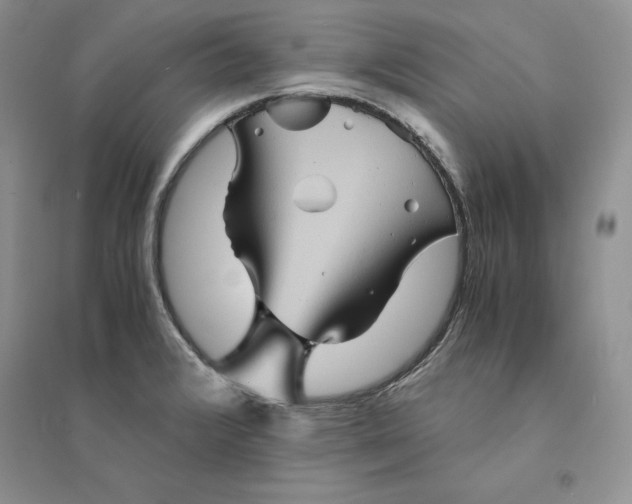 X0000094451376200711291649