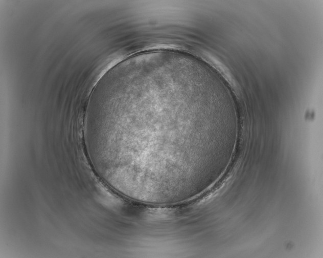 X0000094451377200711291649