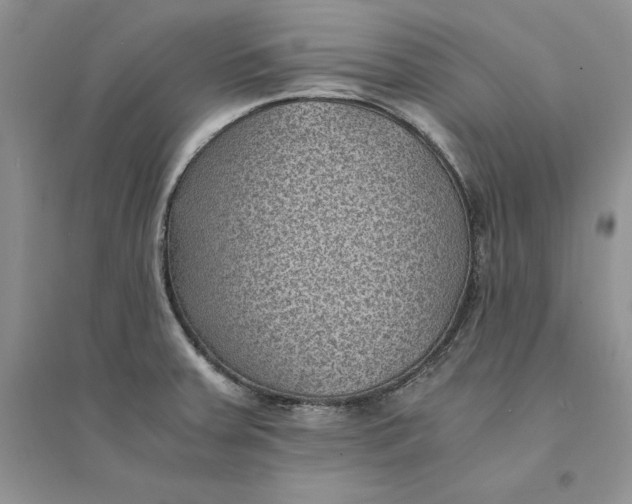 X0000094451379200711291649