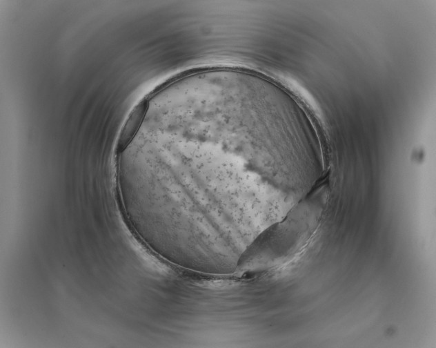 X0000094451380200711291649