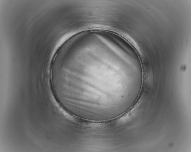 X0000094451381200711291649