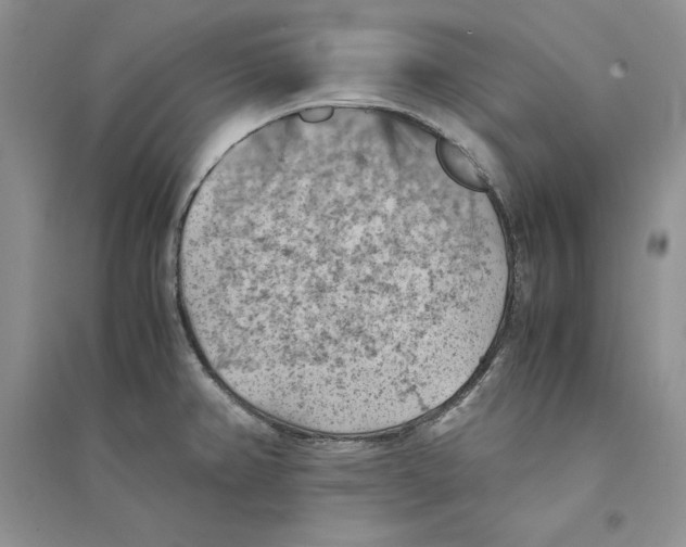 X0000094451382200711291649