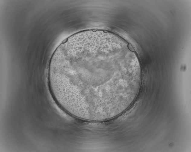 X0000094451383200711291649