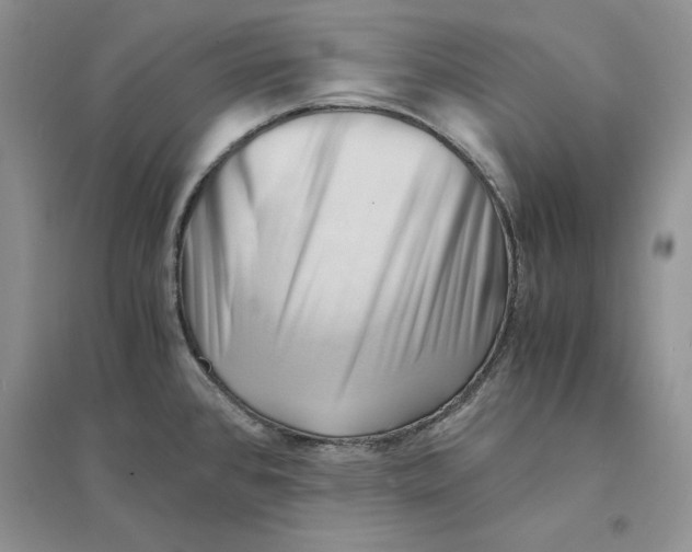 X0000094451384200711291649