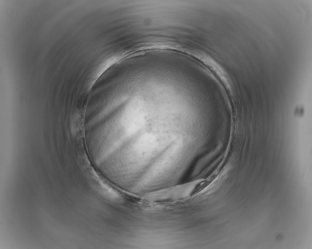 X0000094451385200711291649