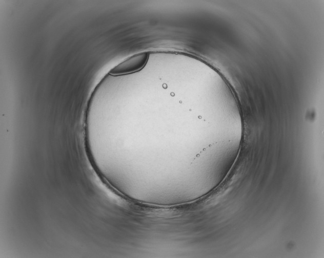 X0000094451387200711291649