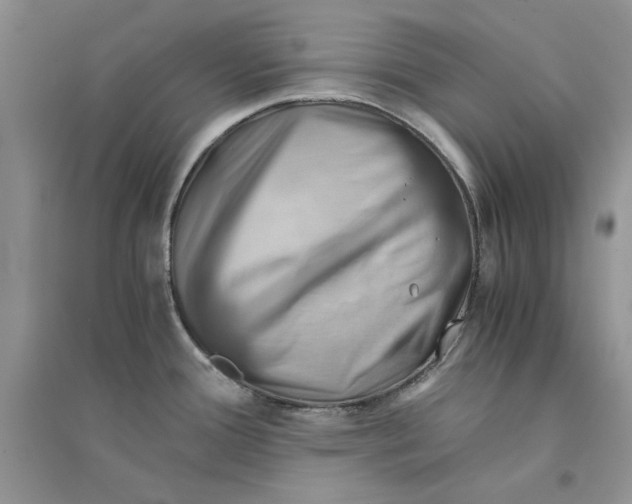 X0000094451388200711291649