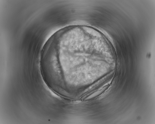 X0000094451390200711291649