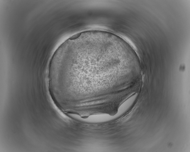 X0000094451391200711291649