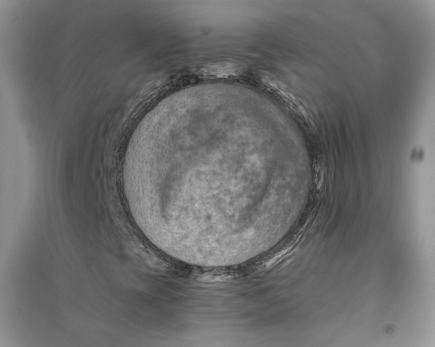 X0000094451393200711291648