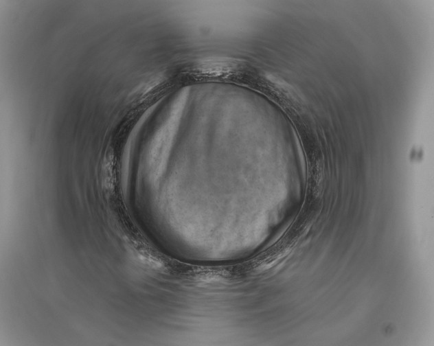 X0000094451394200711291648