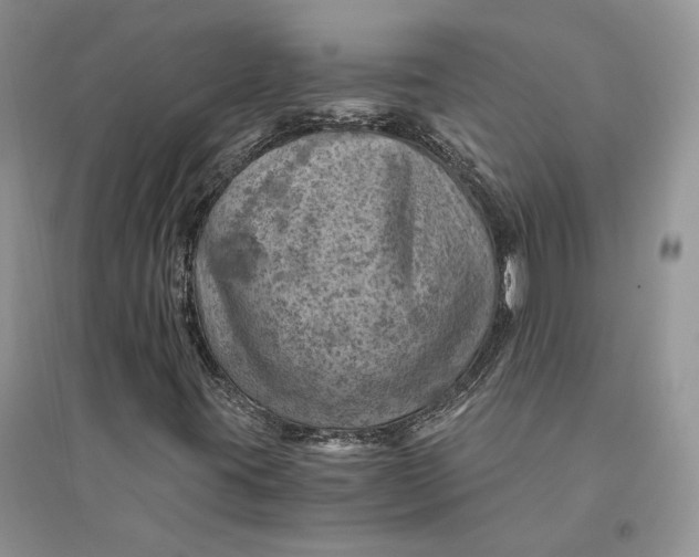 X0000094451395200711291648