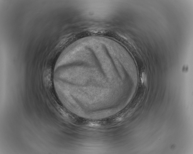 X0000094451396200711291648