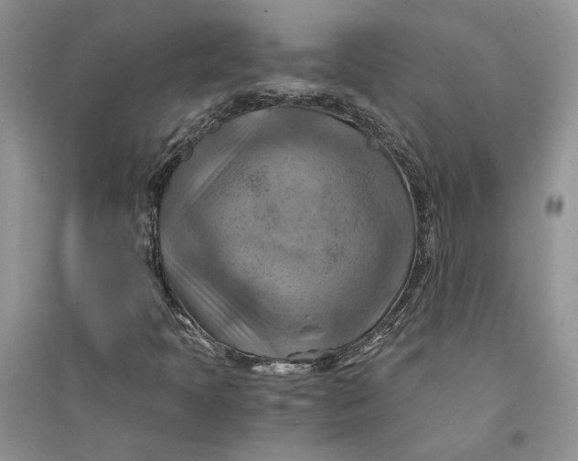 X0000094451397200711291648