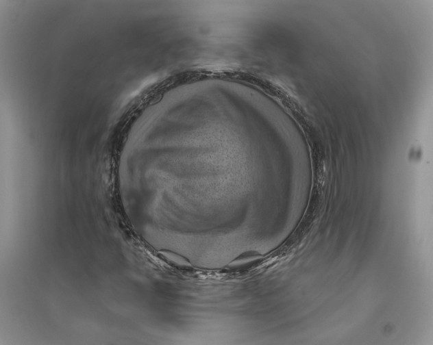 X0000094451398200711291648