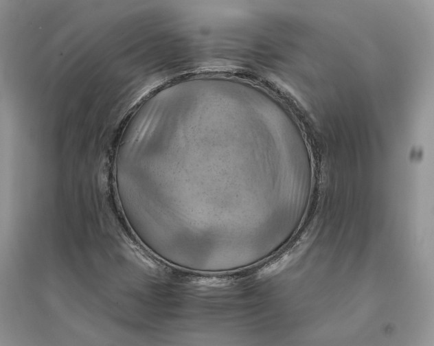 X0000094451401200711291648