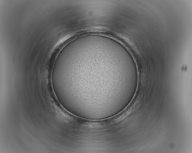 X0000094451402200711291648