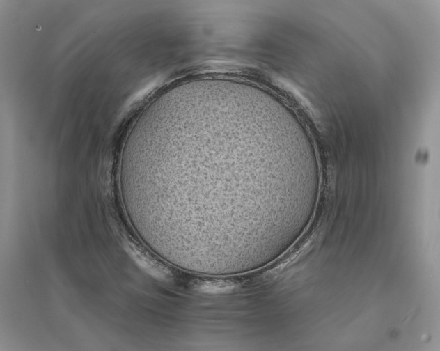 X0000094451403200711291648