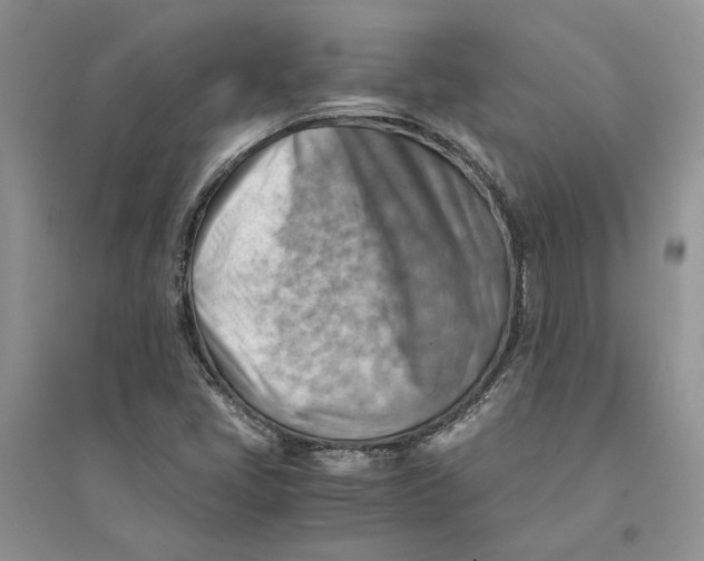 X0000094451405200711291648