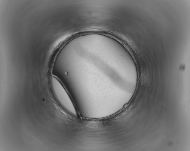 X0000094451406200711291648