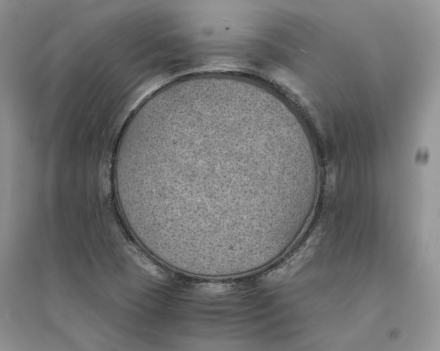 X0000094451409200711291648