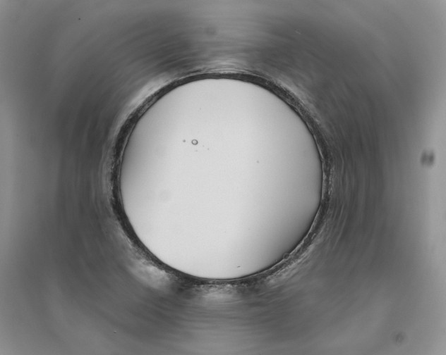 X0000094451410200711291648