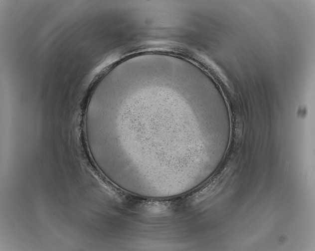 X0000094451411200711291648