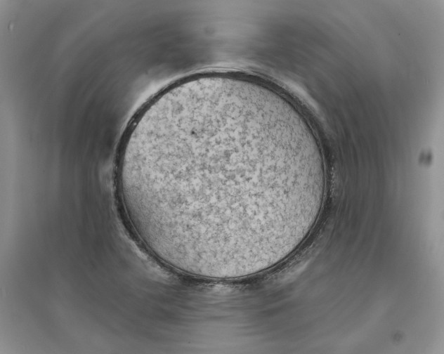 X0000094451412200711291649