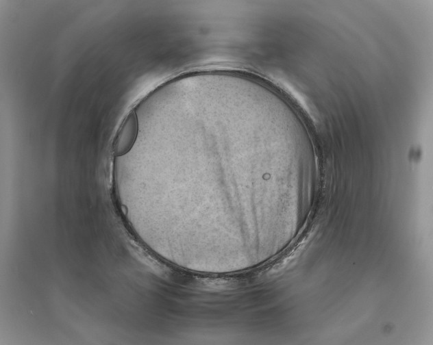 X0000094451413200711291649