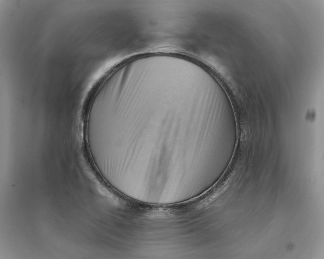 X0000094451414200711291649