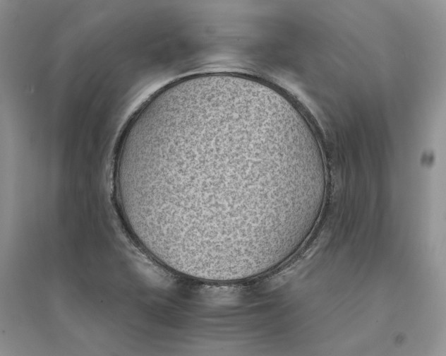 X0000094451415200711291649