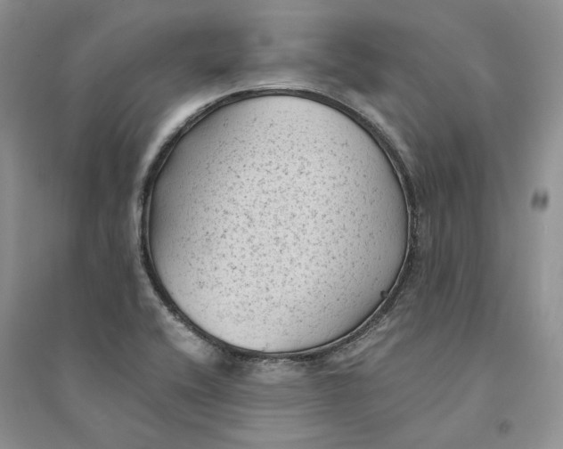 X0000094451416200711291649