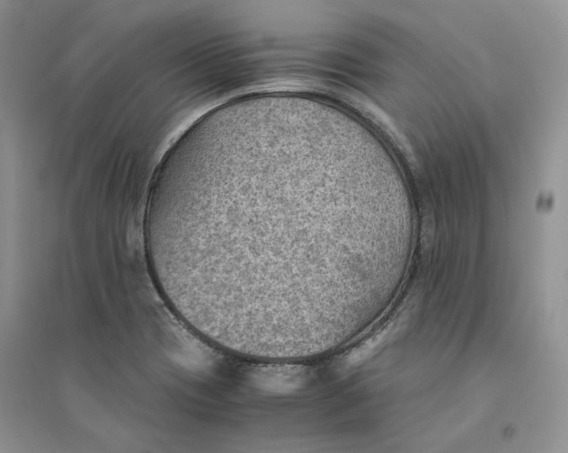 X0000094451417200711291649