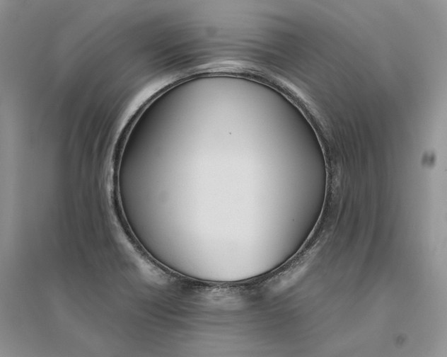 X0000094451418200711291649